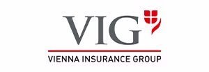 VIG